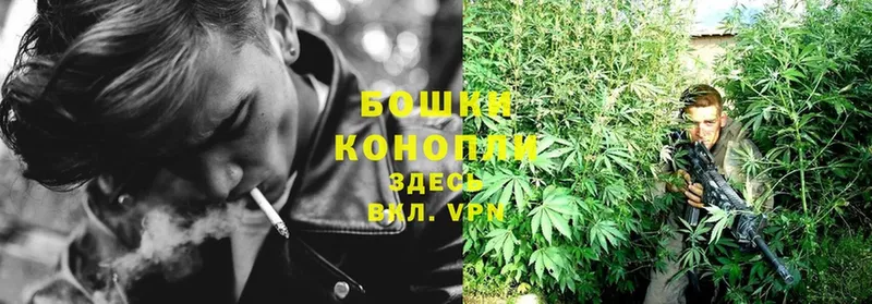 Марихуана SATIVA & INDICA  mega сайт  Суоярви 